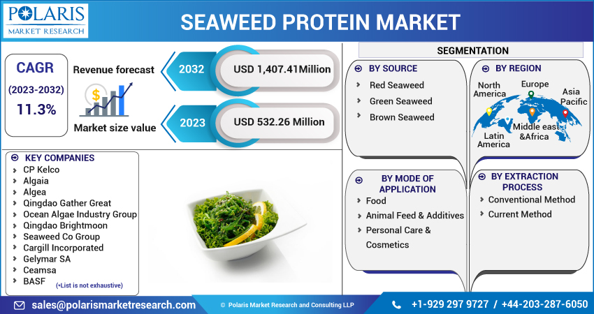 Seaweed Protein Market Report 2023